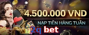 2q bet